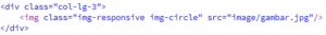 Beberapa class image yang wajib diketahui di Bootstrap