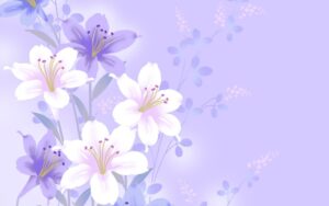Trik-Hover-Menggunakan-CSS
