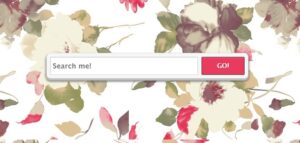 Membuat Tombol Search dengan Warna Feminin