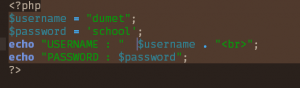 error11