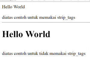 Mengenal Fungsi strip_tags() di PHP