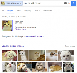 Cara Mencari Gambar Tanpa Mengetahui Namanya di Google