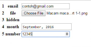 macam-macam-atribut-yang-ada-pada-form-input-part-2