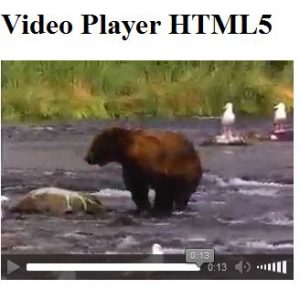 cara membuat video player dengan HTML5