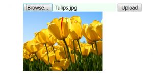 cara-membuat-upload-preview-dengan-javascript