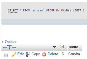 Fungsi rand() Untuk Mengacak Data Dengan MySQL