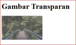 efek-transparan-dengan-opacity-pada-css