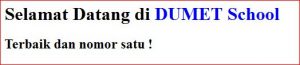 banner6-jenis-jenis-tag-html-block-dan-inline/
