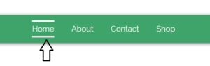 cara-membuat-efek-hover-pada-menu-menggunakan-css3-2