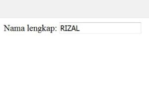 membuat-inputan-otomatis-huruf-capital-dengan-javascript-1