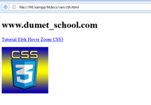 Cara Membuat Efek Hover Zoom CSS3
