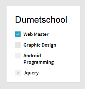 Cara Membuat Custom Checkbox Menarik