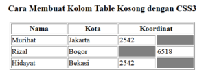 cara membuat kolom table kosong dengan css3