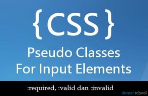 pseudo class required valid invalid css
