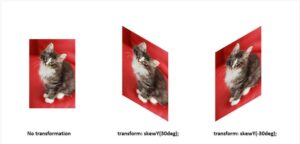 Fungsi skewy() Pada Transform 2d Dalam CSS