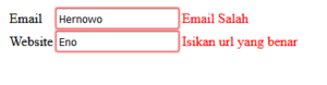 Cara Membuat Validasi Form Input Dengan Angularjs
