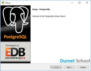 instalas postgresql