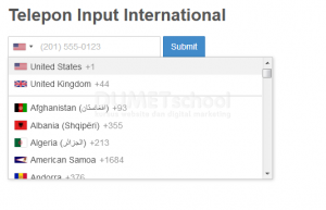 Cara Menggunakan Plugins Input Telepon International