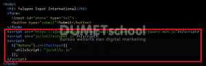 Cara Menggunakan Plugins Input Telepon International
