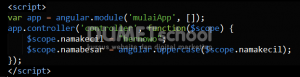 Cara Merubah Huruf Menjadi Uppercase Dengan AngularJS
