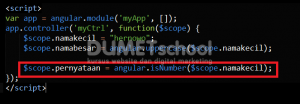 Cara Merubah Huruf Menjadi Uppercase Dengan AngularJS