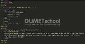Cara Mengubah Text Sesuka Hati Tanpa Coding Menggunakan Tinymce