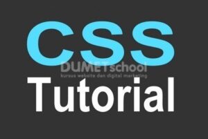 Cara Menggunakan $font-face Di CSS