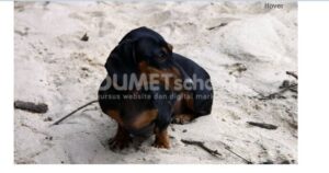 membuat-zoom-gambar-dengan-jquery-zoom
