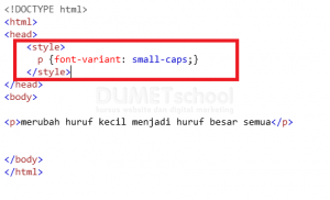 Cara Menggunakan Font-variant dan List-style-type Dengan CSS