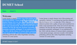 Cara Menghilangkan Seleksi Text Pada Website Menggunakan CSS