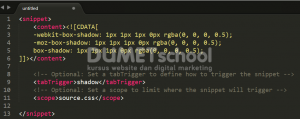Cara Membuat Snippets CSS Sublime Text 3