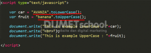 Cara Merubah Huruf Kecil dan Besar Pada Javascript