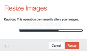 cara-resize-image-otomatis-di-wordpress-dengan-plugins