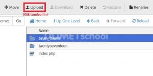 Cara Install Theme WordPress Manual Di cPanel