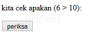 belajar type data bolean pada javascript1