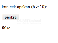 belajar type data bolean pada javascript2