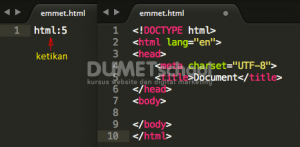 cara install emmet di sublime text