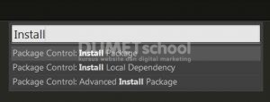cara menggunakan emmet di sublime text