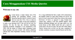 Cara Menggunakan CSS Media Queries