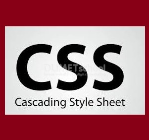 Cara Menggunakan Property Min-Height Dan Max-Height Di CSS