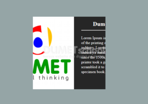 Cara Membuat Gambar Hover Text dengan HTML CSS