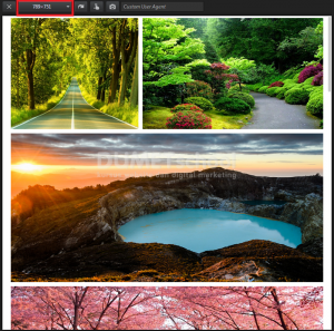 Membuat Tampilan Galley Foto Dengan Plugin jQuery Mosaic