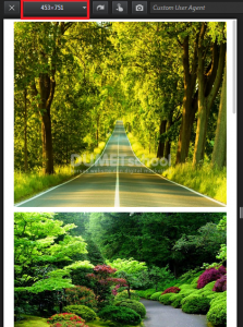 Membuat Tampilan Galley Foto Dengan Plugin jQuery Mosaic