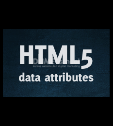 Cara Menggunakan Attribute Pattern Di Input HTML