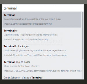Cara-Install-terminal-di-Sublime-Text-3-arif-04-051117