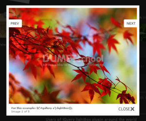 cara merubah border pada Jquery LightBox