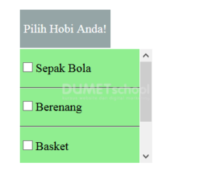 Cara Membuat Dropdown Checkbox dengan HTML CSS