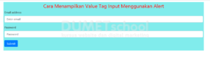 Cara Menampilkan Value Tag Input Menggunakan alert()