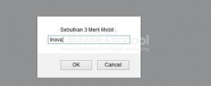 Cara Menampung Hasil Inputan Prompt Kedalam Array Javascript