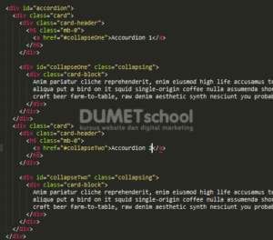 Cara Membuat Accourdion Dengan Javascript